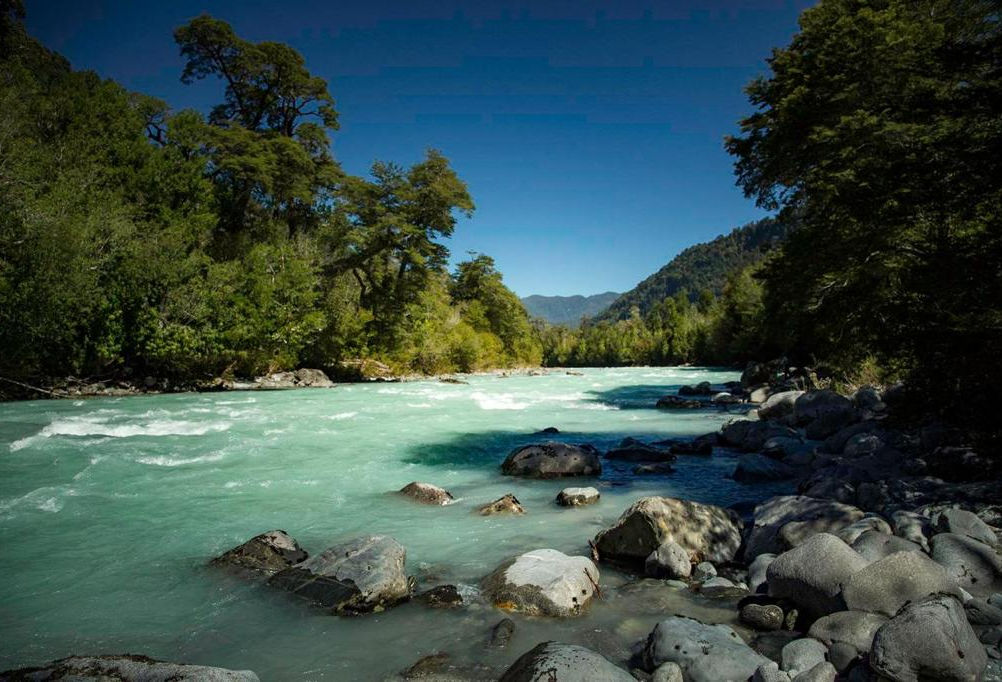 Fundo Río Blanco