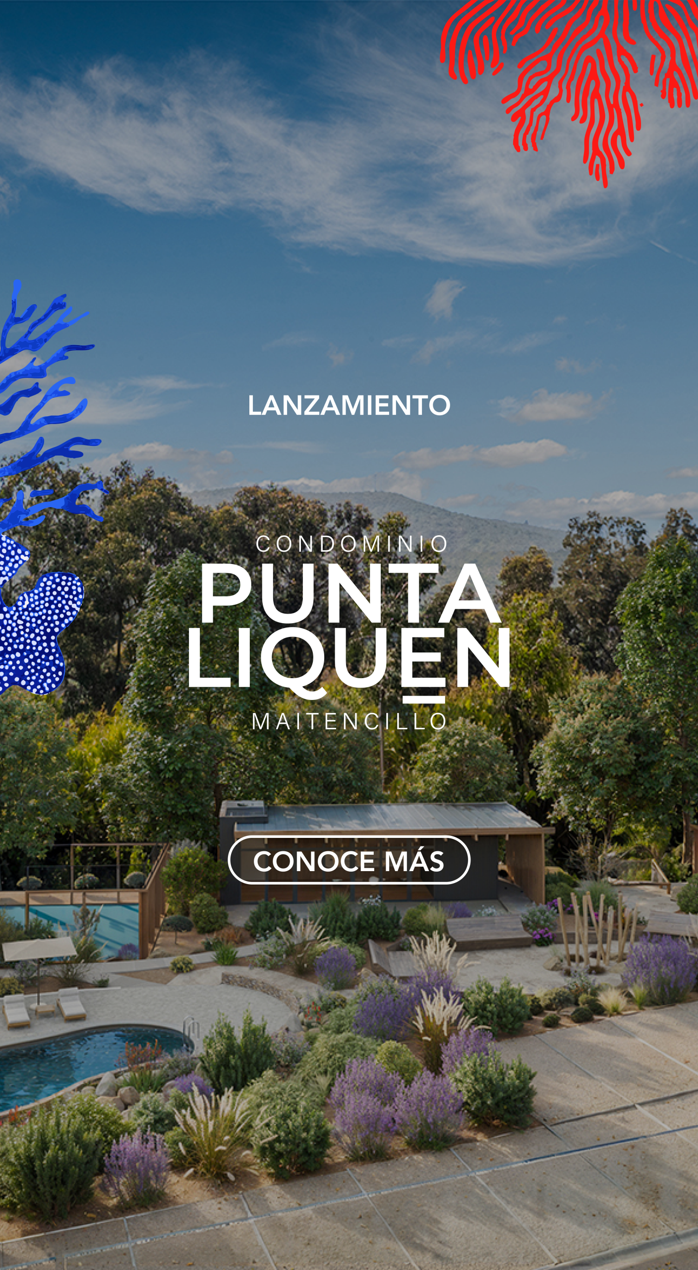 banner_punta liquen_mobile-2